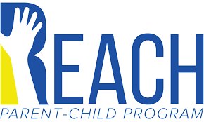 問(wèn)專家:reach認(rèn)證限制物質(zhì)和候選名單之間的區(qū)別